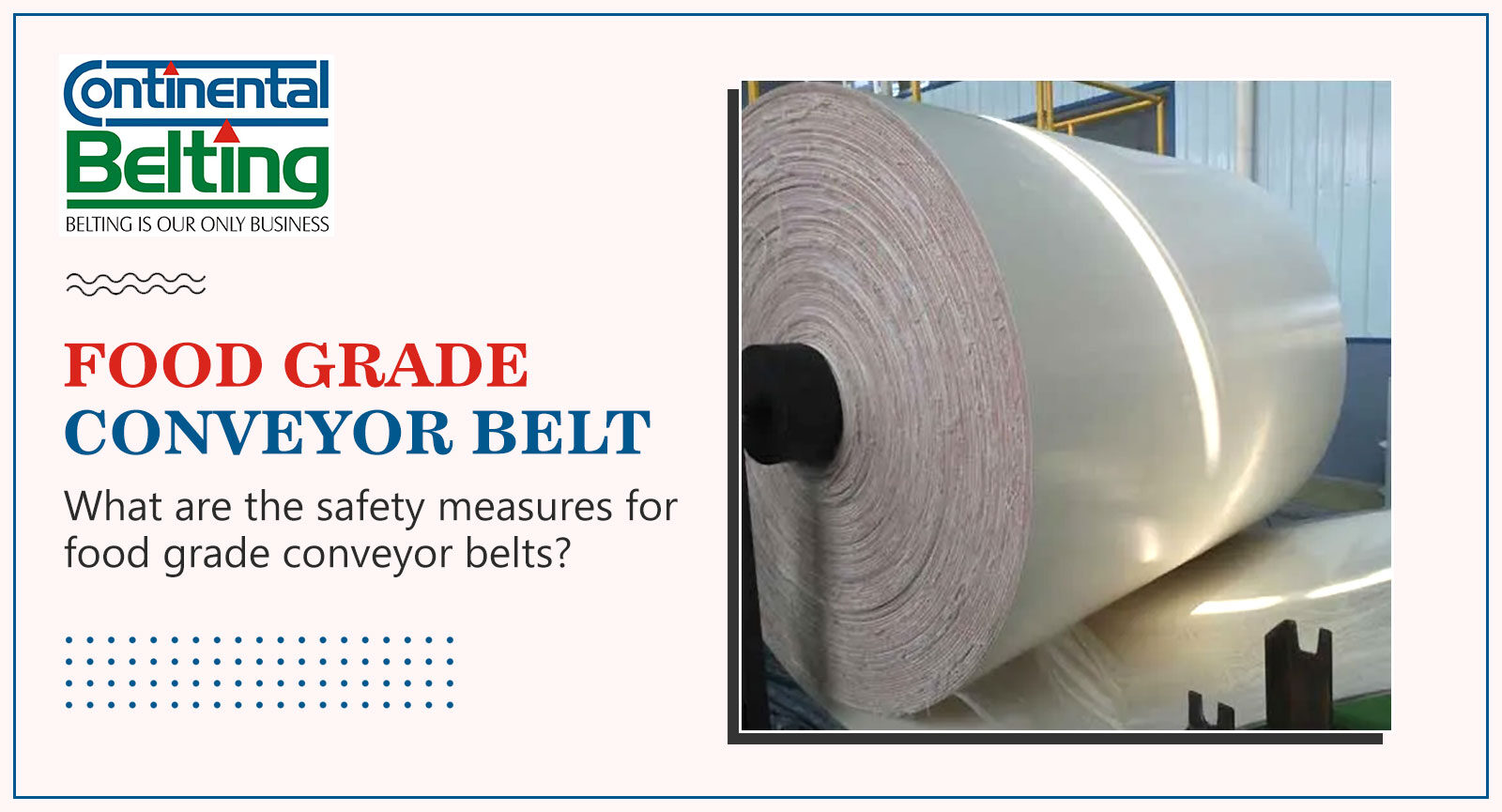 What are the safety measures for food grade conveyor belts?, Continental Belting Pvt Ltd